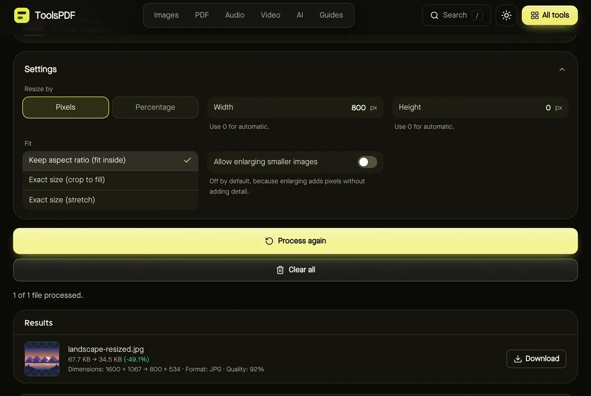 Resize image after processing sample files, showing settings, results and download buttons